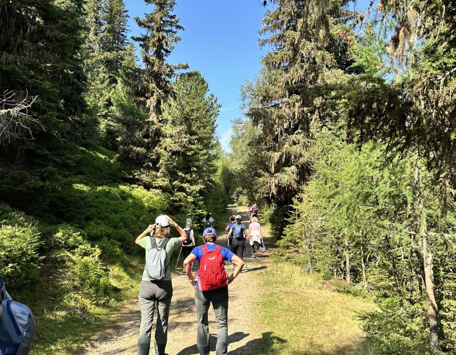 Ausztria 2026 augusztus – Murau–Kreischberg, Ausztria – nordic walking túra