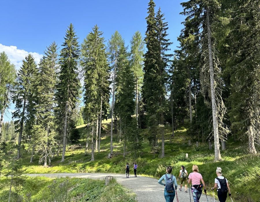 Ausztria 2026 augusztus – Murau–Kreischberg, Ausztria – nordic walking túra