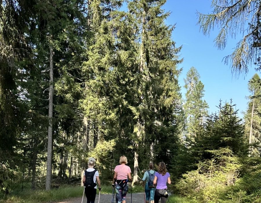 Ausztria 2026 augusztus – Murau–Kreischberg, Ausztria – nordic walking túra