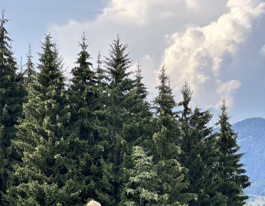 Ausztria 2026 augusztus – Murau–Kreischberg, Ausztria – nordic walking túra