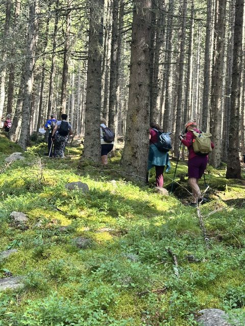 Ausztria 2026 augusztus – Murau–Kreischberg, Ausztria – nordic walking túra
