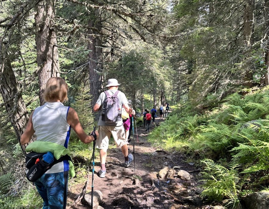 Ausztria 2026 augusztus – Murau–Kreischberg, Ausztria – nordic walking túra
