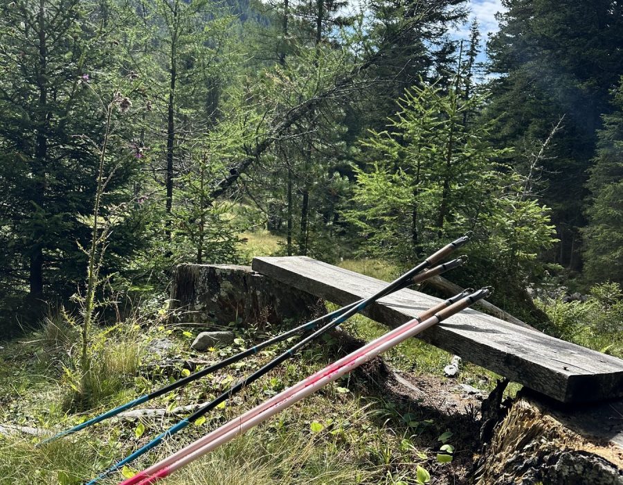 Ausztria 2026 augusztus – Murau–Kreischberg, Ausztria – nordic walking túra