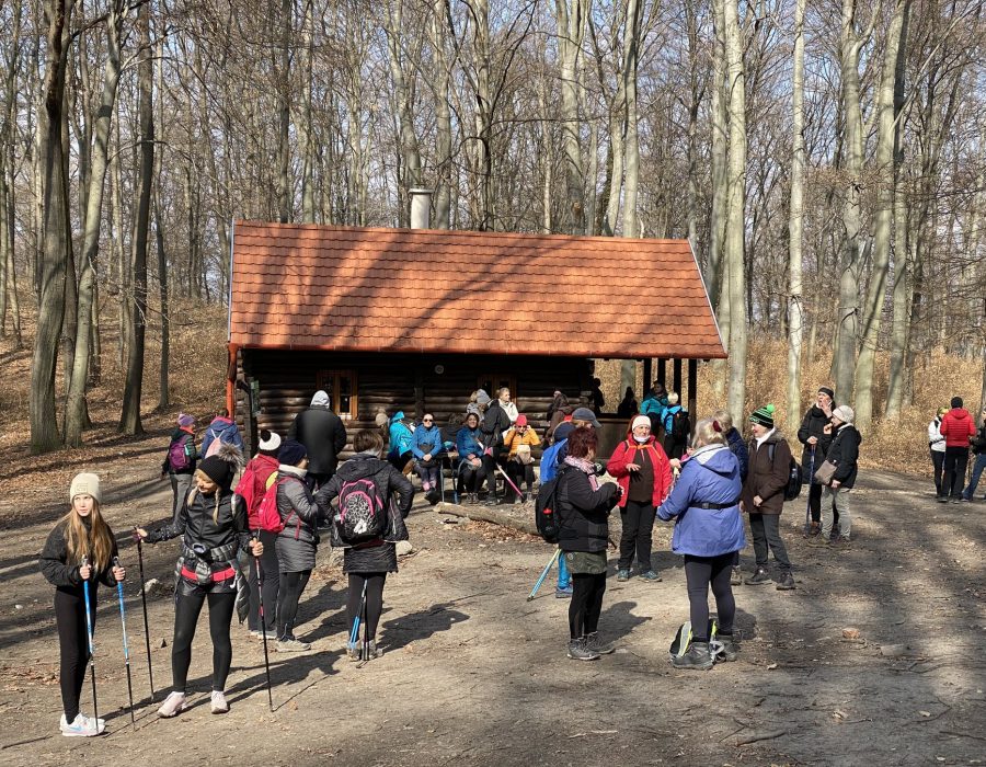 Csapatépítő nordic walking program – Gyalogolj.hu