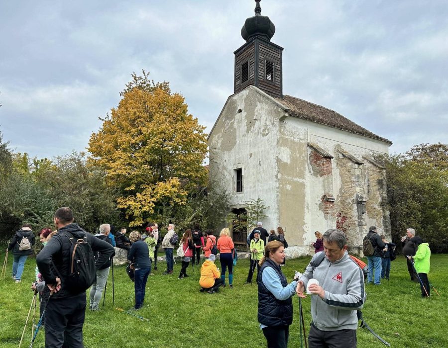 Etyeki gasztrotúra 2024 ősz – Etyek – nordic walking túra