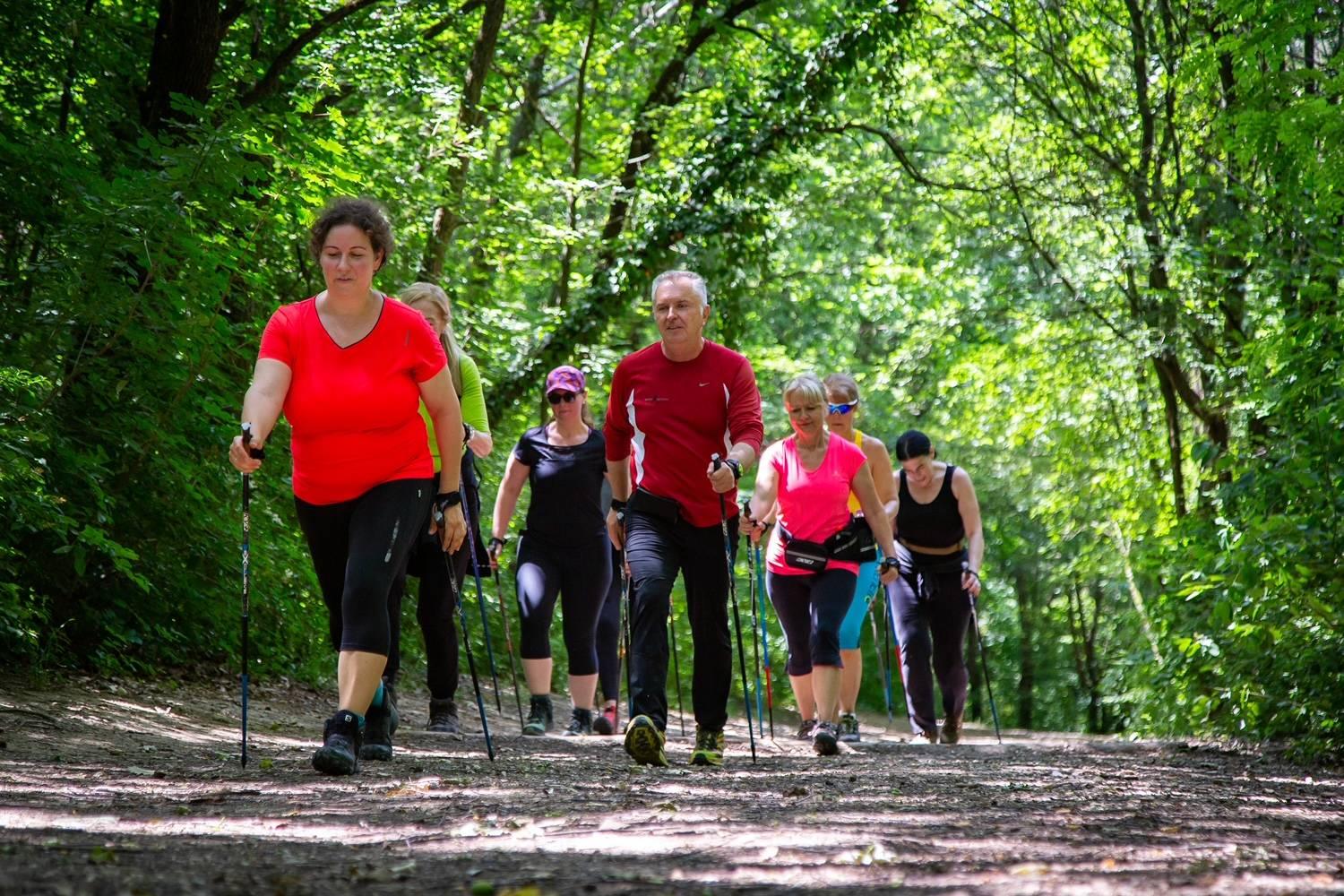 Csoportos nordic walking edzés az erdőben