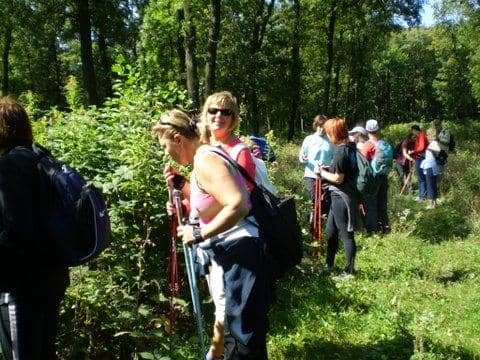 Bakony – nordic walking kirándulás