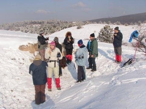 Budaörs télen – nordic walking kirándulás