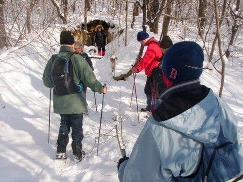 Budaörs télen – nordic walking kirándulás