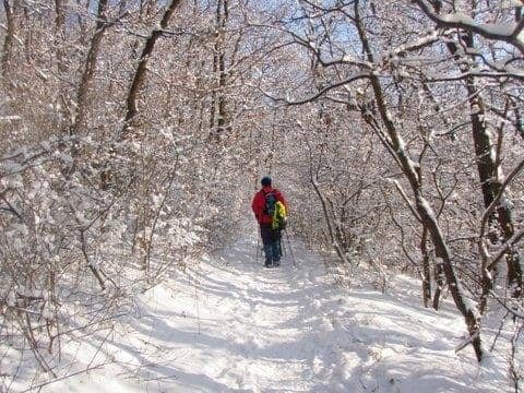 Budaörs télen – nordic walking kirándulás