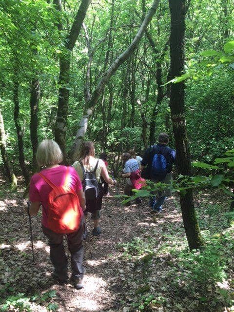 Esztergom – nordic walking kirándulás