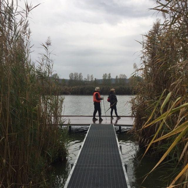 Etyek – nordic walking kirándulás
