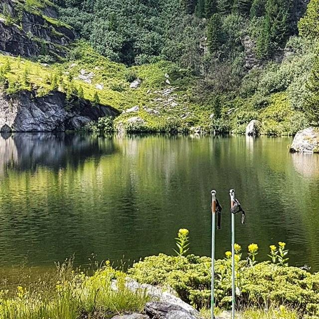 Murau – nordic walking kirándulás