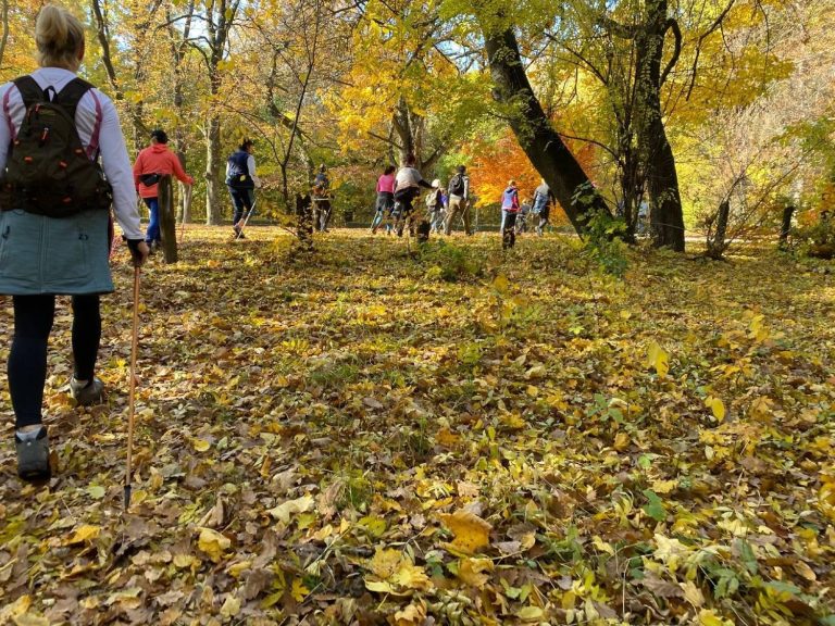 Őszi edzések – nordic walking edzés a Budai-hegyekben