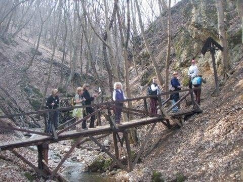 Pilis – nordic walking kirándulás