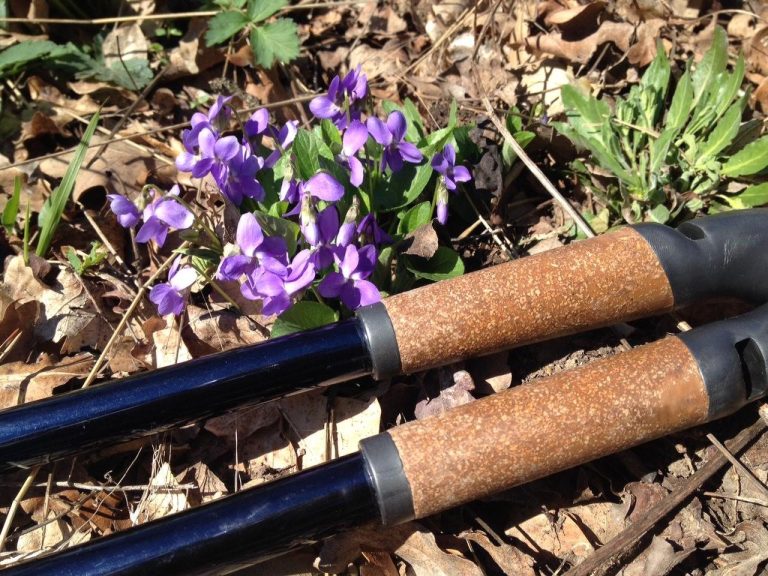 Tavaszi edzések – nordic walking edzés a Budai-hegyekben