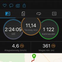 Téli edzések – nordic walking edzés a Budai-hegyekben