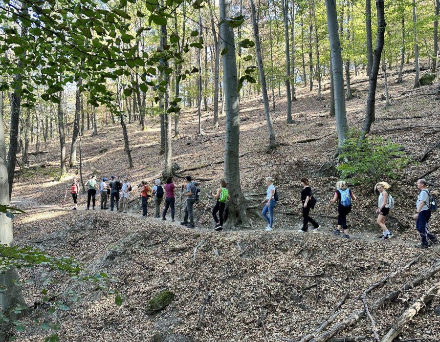Spartacus ösvény 2026 szeptember – nordic walking túra