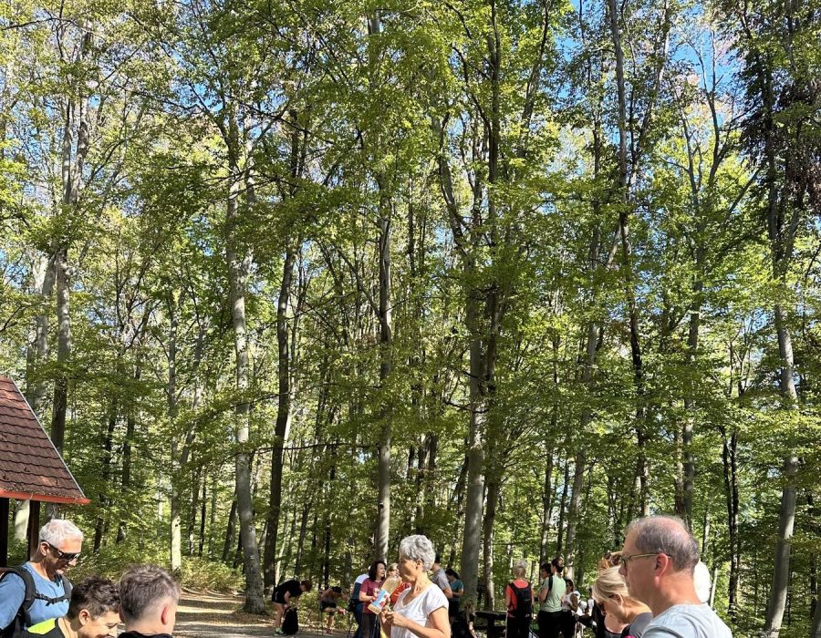 Spartacus ösvény 2026 szeptember – nordic walking túra